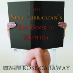 Sexy Librarian audiobook book Cover